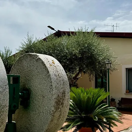 Le Macine-poggio Cono Teramo