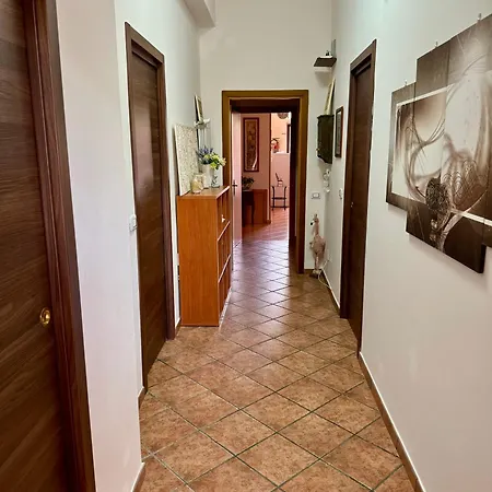 Le Macine-poggio Cono