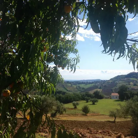 Le Macine-poggio Cono Farm stay *