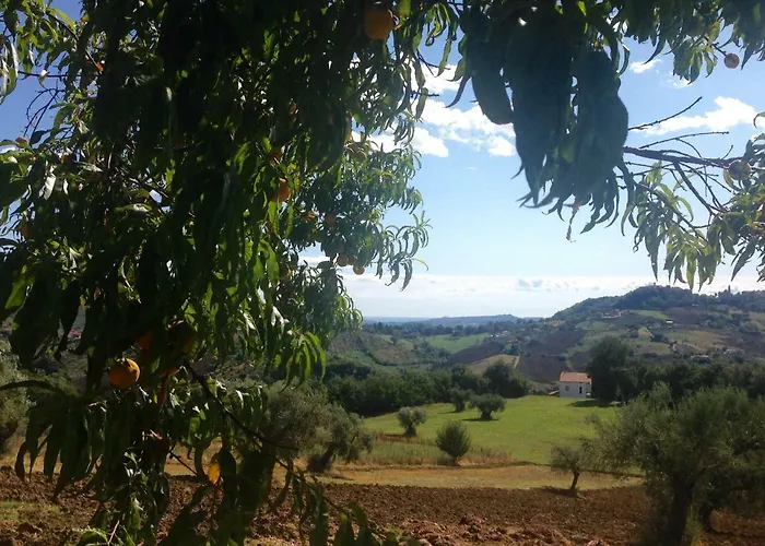 Le Macine Alloggio per agriturismo *